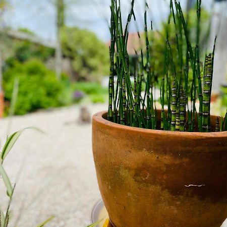 Carresse La Poterie Bed & Breakfast エクステリア 写真