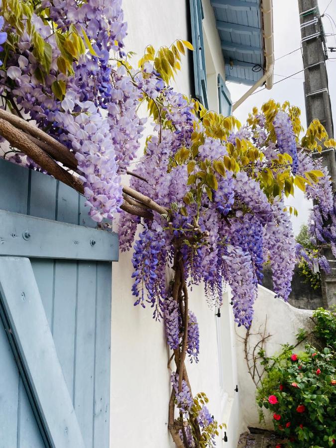 Carresse La Poterie Bed & Breakfast エクステリア 写真